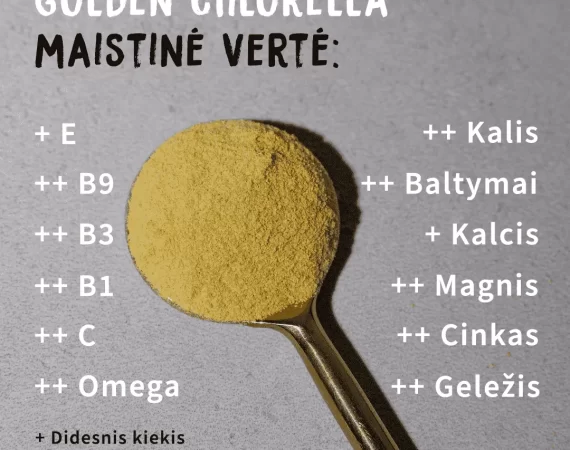 Alver Golden Chlorella naudos maistas ir naudos smegenims